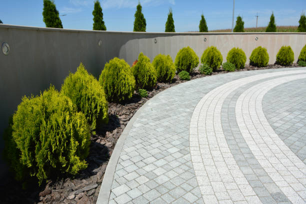 Reasons to Select Us for Your Driveway Paving Requirements in Jacksonville Beach, FL